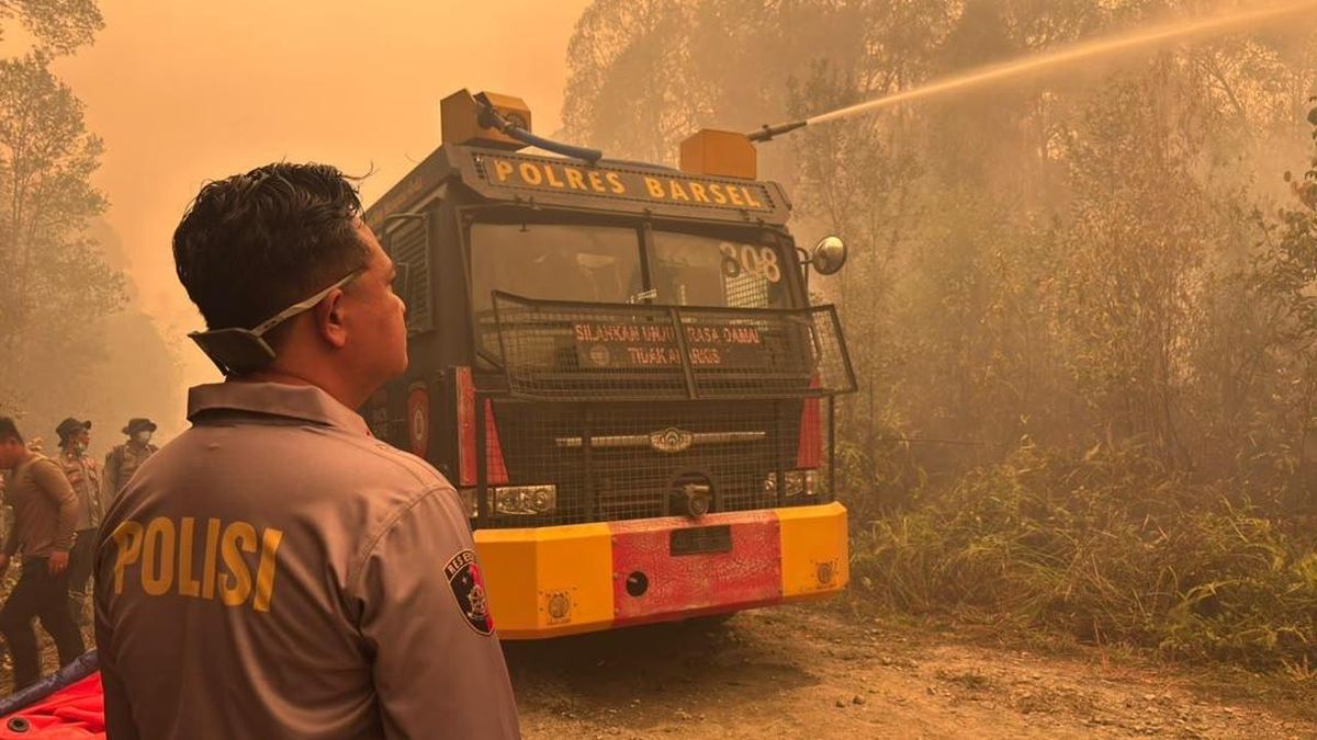 Mengkhawatirkan, Asap Karhutla Selimuti Barito Selatan hingga Udara Menguning — NadiKabar.com