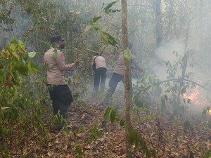 17 Titik Panas Terdeteksi di Way Kambas, 8 Hektare Lahan Berhasil Dipadamkan