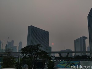 Singapore Threatens 10 Indonesian Companies with $1.8M Fine Over Forest Fires