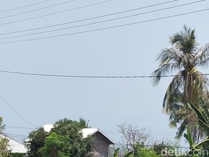 Fenomena Haze Landa Flores Timur NTT, Diduga Berasal dari Kebakaran di Papua