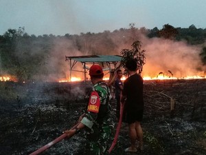 127 Karhutla Terjadi di Balikpapan Sepanjang 2026, 81 Hektare Lahan Terbakar