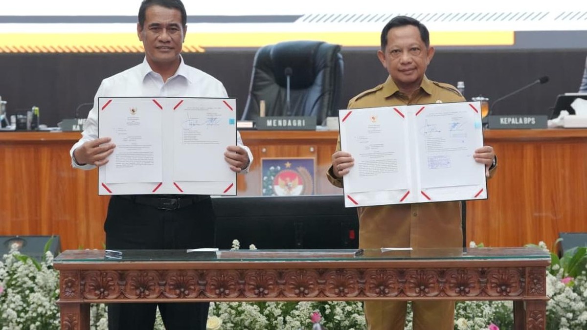 Lewat SEB, Mendagri Minta Daerah Sukseskan Program Swasembada Pangan