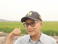 Menteri Pekerjaan Umum (PU) Dody Hanggodo meninjau Kawasan Sentra Swasembada Pangan, Energi, dan Air Nasional (KSPEAN) di Wanam, Kabupaten Merauke, Papua Selatan, Kamis (8/10/2026). (Dok. Kemnterian PU)