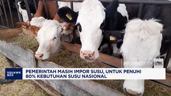 Pemerintah Masih Impor Susu untuk Penuhi 80% Kebutuhan Susu Nasional