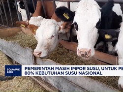 Pemerintah Masih Impor Susu untuk Penuhi 80% Kebutuhan Susu Nasional