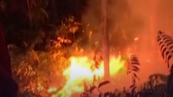 RI Dikepung Karhutla, Ada 793 Titik Api di Kalimantan & Sumatra