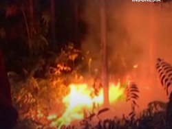 RI Dikepung Karhutla, Ada 793 Titik Api di Kalimantan & Sumatra