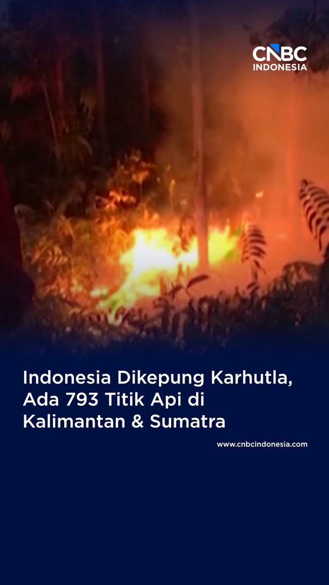 RI Dikepung Karhutla, Ada 793 Titik Api di Kalimantan & Sumatra
