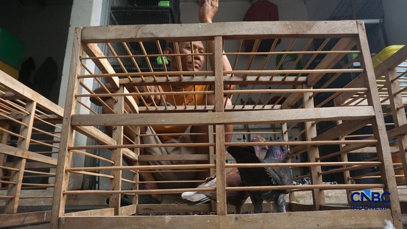 Suasana pejualan di Sentra Fauna dan Kuliner Lenteng Agung, Jakarta Selatan, Senin (12/10/2026). (CNBC Indonesia/Muhammad Sabki)