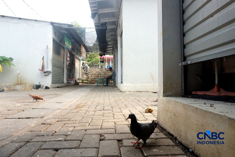 Suasana pejualan di Sentra Fauna dan Kuliner Lenteng Agung, Jakarta Selatan, Senin (12/10/2026). (CNBC Indonesia/Muhammad Sabki)