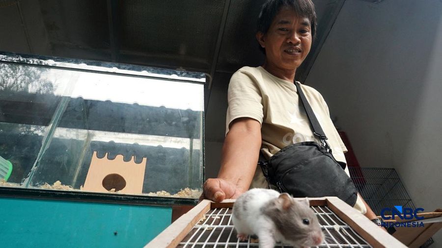 Suasana pejualan di Sentra Fauna dan Kuliner Lenteng Agung, Jakarta Selatan, Senin (12/10/2026). (CNBC Indonesia/Muhammad Sabki)