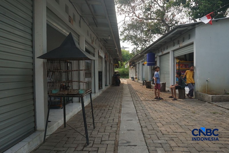 Suasana pejualan di Sentra Fauna dan Kuliner Lenteng Agung, Jakarta Selatan, Senin (12/10/2026). (CNBC Indonesia/Muhammad Sabki)