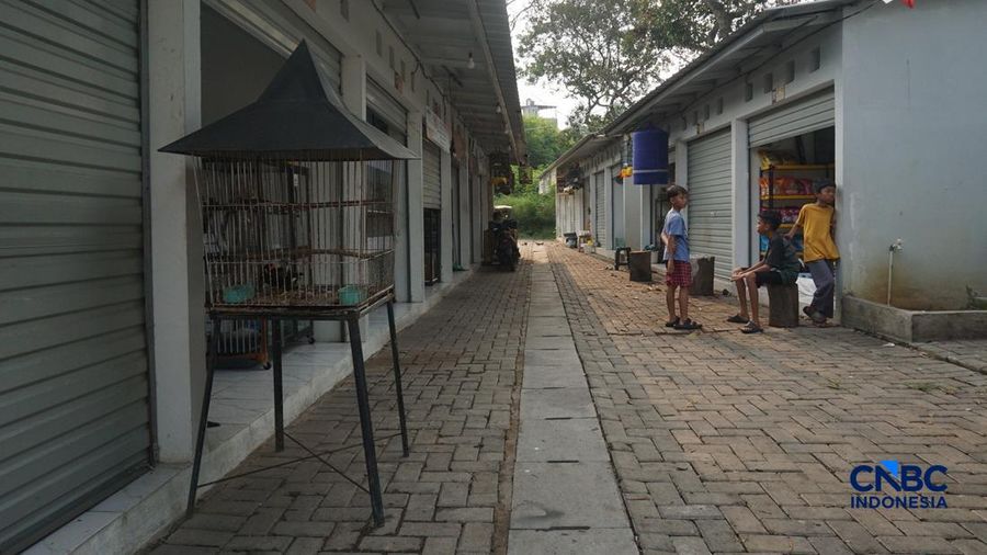 Suasana pejualan di Sentra Fauna dan Kuliner Lenteng Agung, Jakarta Selatan, Senin (12/10/2026). (CNBC Indonesia/Muhammad Sabki)