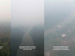 Total 513,89 Hektare Lahan Terbakar di TNTP, Prabowo Perintahkan Atensi Khusus