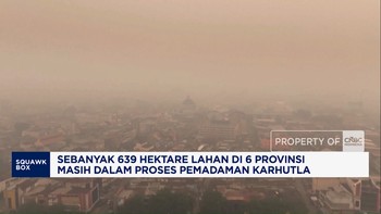 639 Hektare Lahan di 6 Provinsi Masih Proses Pemadaman Karhutla