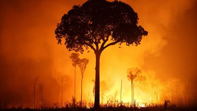Hutan Amazon Terbakar Saat Musim Kemarau, Diduga Ada Kesengajaan