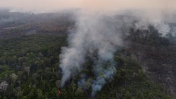 Riset: Karhutla-Deforestasi oleh Manusia, Hutan Amazon Jadi Penyumbang CO2