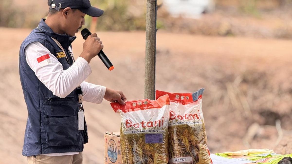 Tim Patriot IPB-Kementrans Uji Padi Hemat Air untuk Petani Salor — NadiKabar.com