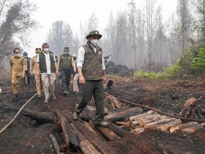 Video: Menhut Identifikasi 4 Titik Utama Pemadaman Karhutla di Tanjung Puting