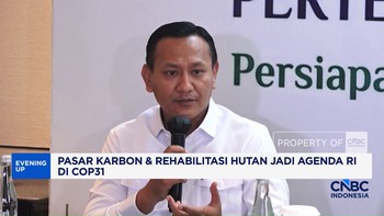 Pasar Karbon dan Rehabilitasi Hutan Jadi Agenda Indonesia di Cop 31