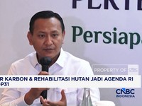 Pasar Karbon dan Rehabilitasi Hutan Jadi Agenda Indonesia di Cop 31