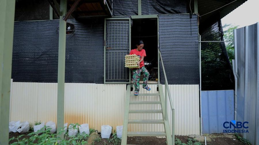 Peternakan yang dikelola oleh BUMDes Kuntum Mekar, Desa Waringinjaya, Bojonggede, Kabupaten Bogor, Jawa Barat, Selasa (13/10/2026). (CNBC Indonesia/Tri Susilo)