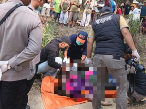 Identitas Wanita Tewas Setengah Telanjang di Kebun Sawit Lampung Terungkap