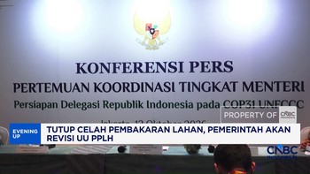 Tutup Celah Pembakaran Lahan, Pemerintah Akan Revisi UU PPLH