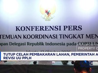 Tutup Celah Pembakaran Lahan, Pemerintah Akan Revisi UU PPLH