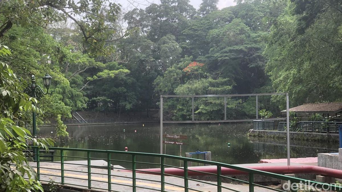 Ilustrasi berita Nasional: Viral Nongkrong di Wisdom Park UGM Bayar Rp 129.500/Jam, Kampus Buka Suara