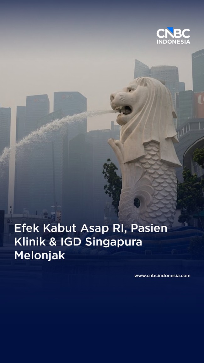 Efek Kabut Asap RI, Pasien Klinik & IGD Singapura Melonjak