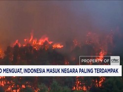El Nino Menguat, Indonesia Masuk Negara Paling Terdampak