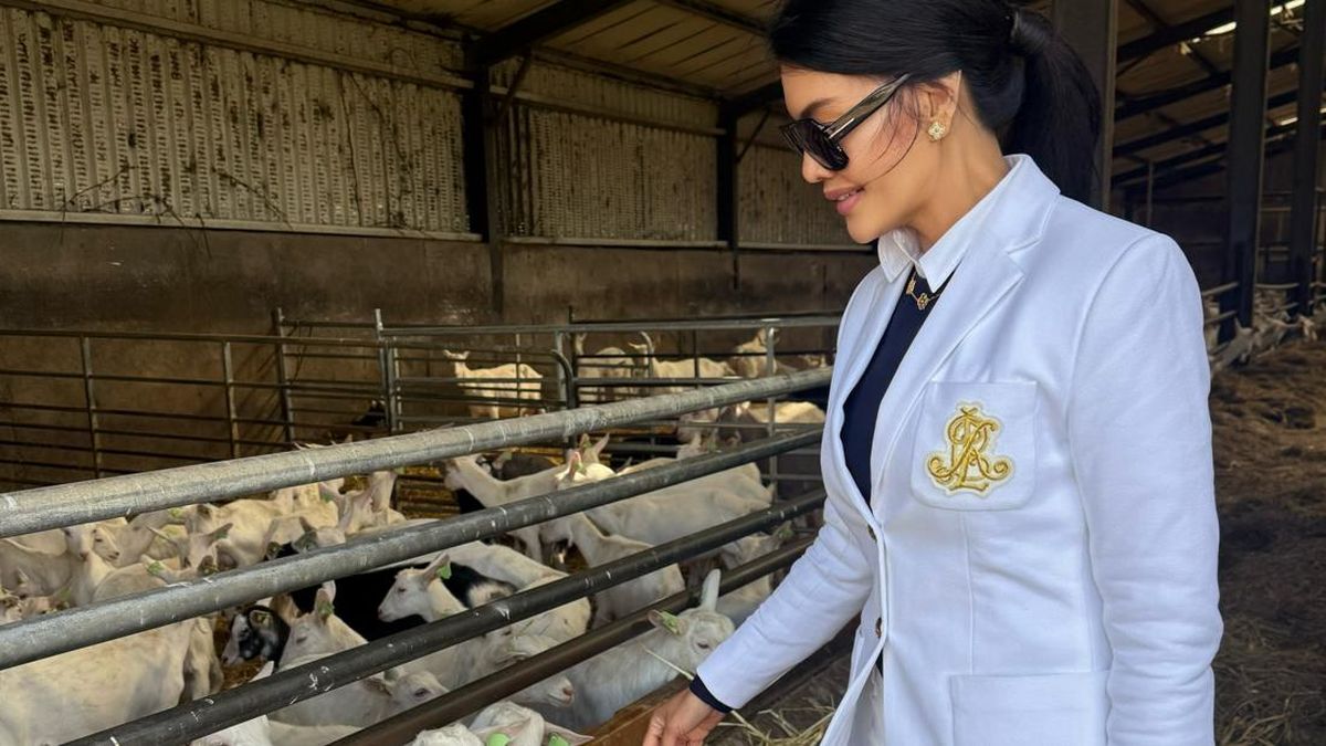 Zonk! Farah Quinn ke Irlandia Untuk Keju Buat Suami Malah Cuma Ketemu Kambing — NadiKabar.com