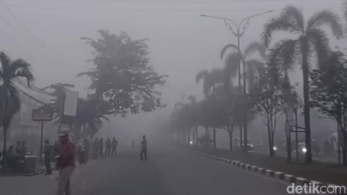 Pekanbaru-Pelalawan Diselimut Asap Tebal, Jarak Pandang Terbatas — NadiKabar.com