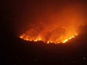 300 Hektare Lahan Cagar Alam di Gunung Lokon Tomohon Terbakar