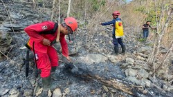 Duh! Kebakaran Hutan Karst Pangkep Ancam Situs Purba, Lukisan Gua Jadi Sorotan