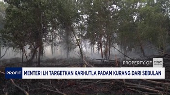 Menteri LH Targetkan Karhutla Padam Kurang Dari Sebulan