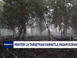 Menteri LH Targetkan Karhutla Padam Kurang Dari Sebulan