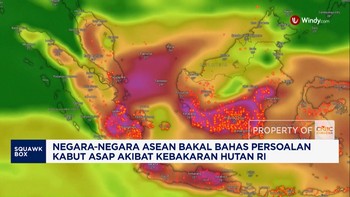 Negara ASEAN Bakal Bahas Persoalan Kabut Asap akibat Karhutla RI