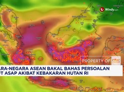 Negara ASEAN Bakal Bahas Persoalan Kabut Asap akibat Karhutla RI