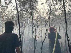 Indonesia Yet to Respond to Malaysias Offer of Help on Forest Fires