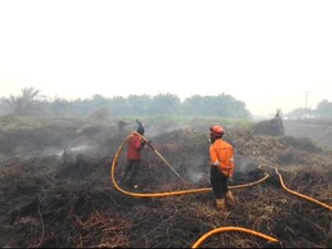 Indonesian Police Names 9 Corporations Suspects in Kalimantan Forest Fires
