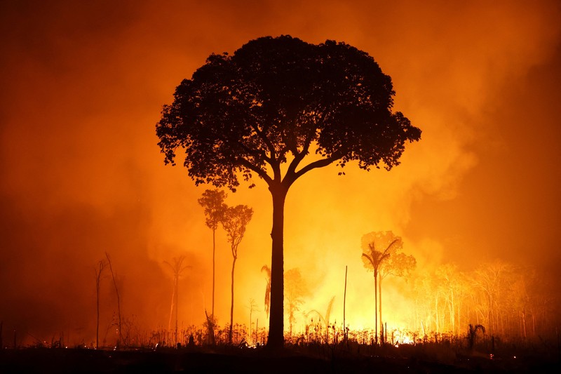 Sebuah area hutan hujan Amazon yang telah digunduli terbakar selama musim kemarau di wilayah Autazes, negara bagian Amazonas, Brasil. 12 Oktober 2026. (REUTERS/Bruno Kelly)