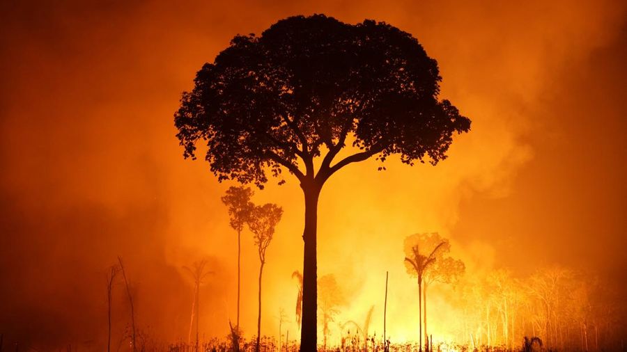 Sebuah area hutan hujan Amazon yang telah digunduli terbakar selama musim kemarau di wilayah Autazes, negara bagian Amazonas, Brasil. 12 Oktober 2026. (REUTERS/Bruno Kelly)
