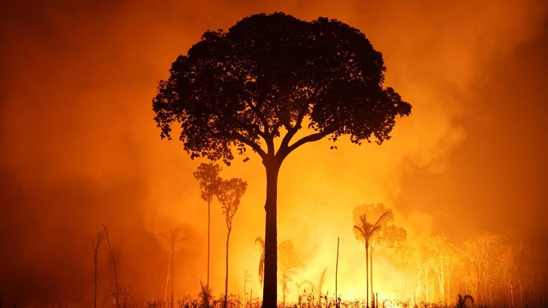 Sebuah area hutan hujan Amazon yang telah digunduli terbakar selama musim kemarau di wilayah Autazes, negara bagian Amazonas, Brasil. 12 Oktober 2026. (REUTERS/Bruno Kelly)