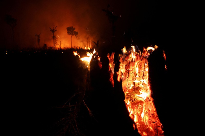 Sebuah area hutan hujan Amazon yang telah digunduli terbakar selama musim kemarau di wilayah Autazes, negara bagian Amazonas, Brasil. 12 Oktober 2026. (REUTERS/Bruno Kelly)