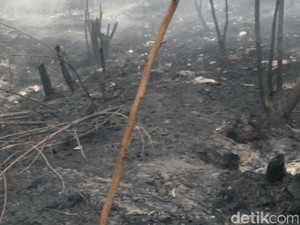 27 Ribu Hektare Lahan di Kalsel Terbakar Selama Karhutla 2026