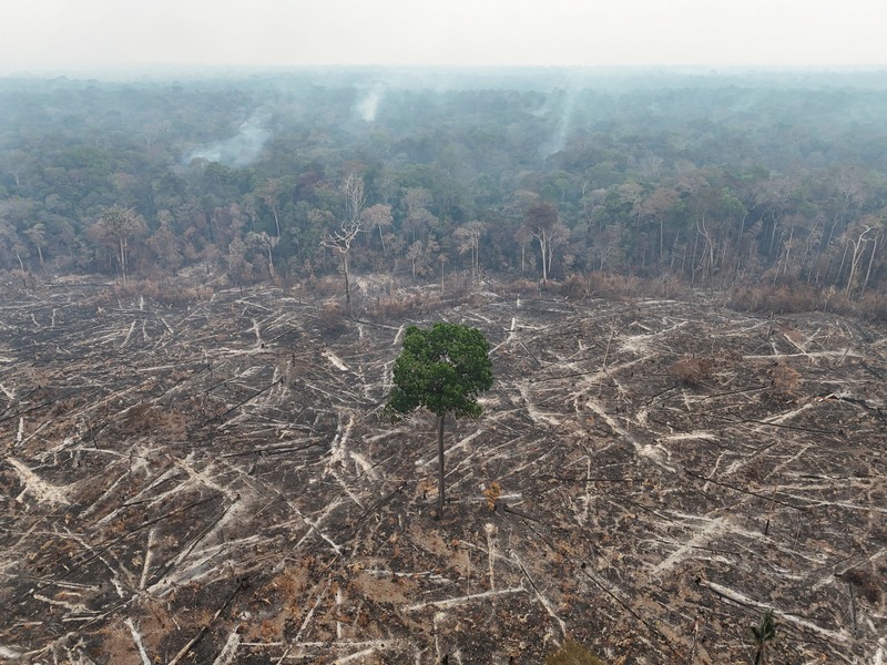 Sebuah area hutan hujan Amazon yang telah digunduli terbakar selama musim kemarau di wilayah Autazes, negara bagian Amazonas, Brasil. 12 Oktober 2026. (REUTERS/Bruno Kelly)