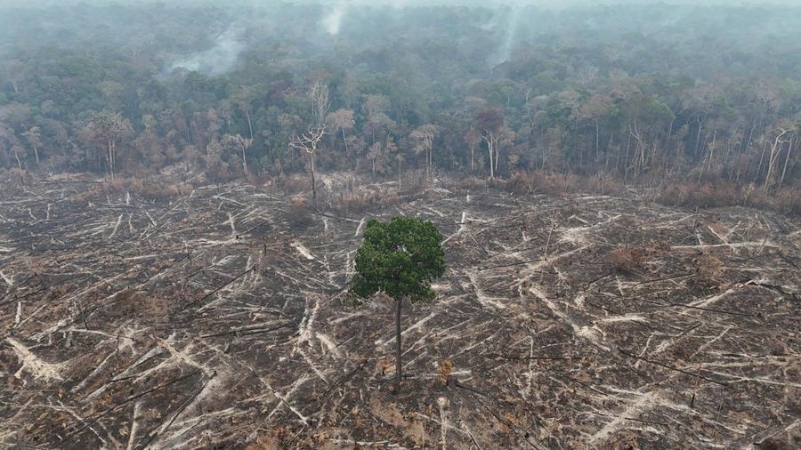 Tampilan dari drone yang memperlihatkan area hutan hujan yang telah digunduli, dengan asap membubung dari kebakaran yang terjadi selama musim kemarau di wilayah Autazes, negara bagian Amazonas, Brasil, pada 12 Oktober 2026.