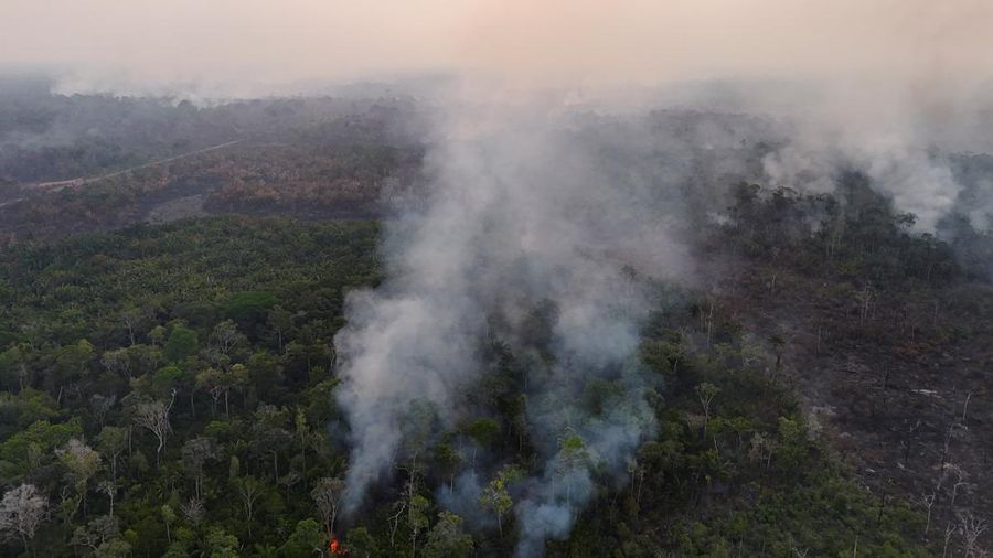 Tampilan dari drone yang memperlihatkan area hutan hujan yang telah ditebang sedang terbakar selama musim kemarau di wilayah Autazes, negara bagian Amazonas, Brasil, pada 12 Oktober 2026.